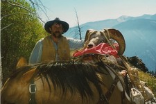 Redbone Outfitting can assist you in getting a great bighorn sheep if you are fortunate enough to draw a, permit in the breaks.